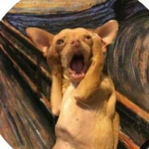 Meet your Posher, Cha